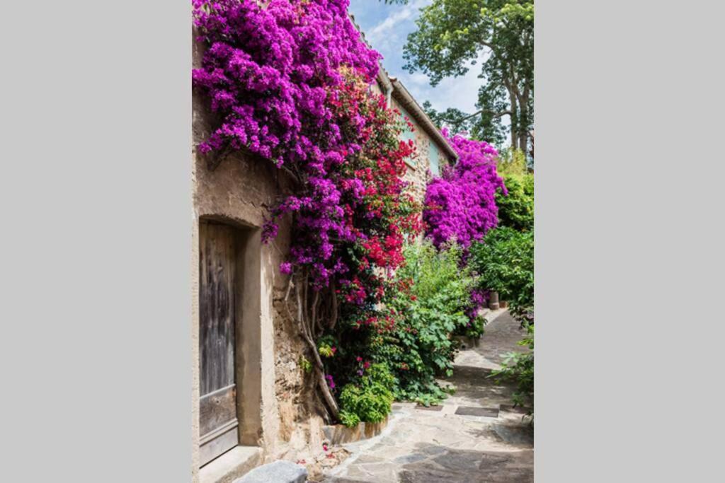 Coquet 2 Pieces Coeur Vieil Antibes Lägenhet Exteriör bild